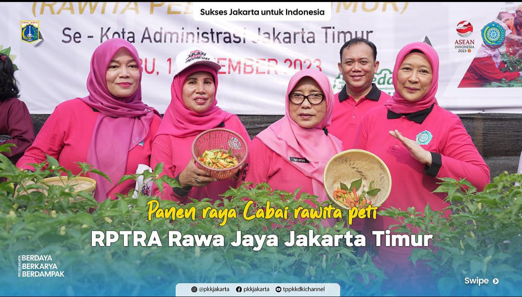 Panen Raya Cabai Rawita Peti Se-Kota Adm. Jakarta Timur